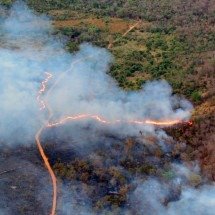 Novo incêndio de grande proporção atinge Parque da Lapa Grande, em MG - Eduardo Gomes/Divulgação