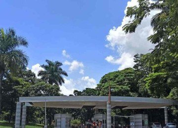 Zoológico terá uma programação especial para crianças -  (crédito: Suziane Brugnara/PBH)