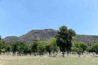 O Rio de Janeiro é conhecido como a cidade maravilhosa por seus pontos turísticos e beleza que chama a atenção de turistas de todo o mundo. Contudo, muitos não sabem que o local abriga a maior floresta urbana do planeta, com o Parque Estadual da Pedra Branca. -  (crédito:  Tania Rego/Agência Brasil)