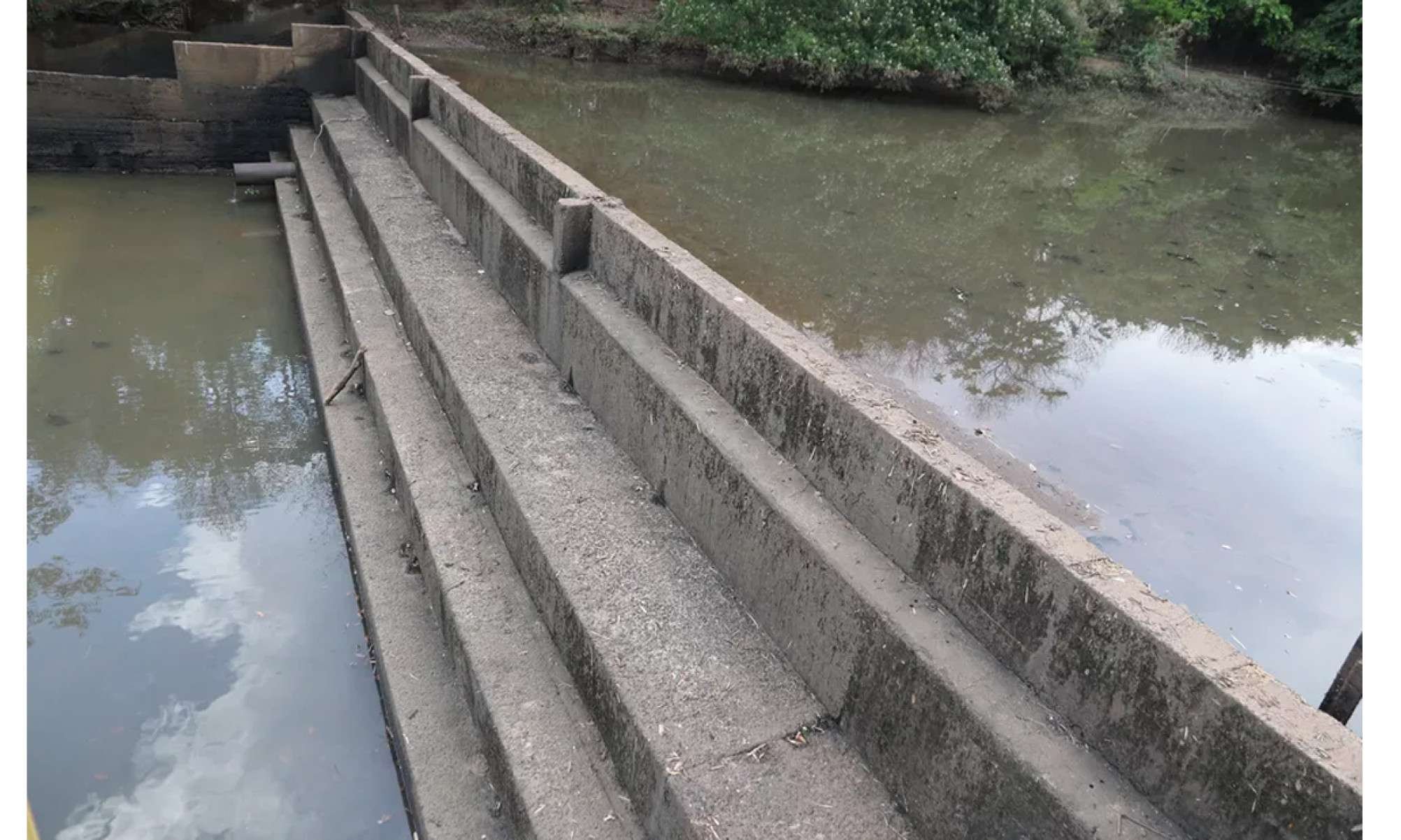 Uberaba pode multar quem regar jardim e lavar carro e calçada com mangueira -  (crédito: Codau/DivulgaÃ§Ã£o)