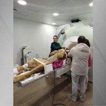 Check-up “selvagem”:  Leão encara ressonância magnética em Curitiba - Divulgação / Prefeitura de Curitiba