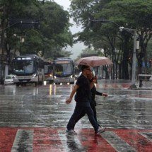 Durante alertas de pancadas de chuva, a Defesa Civil recomenda que a população evite áreas de inundação -  (crédito: Tulio Santos/EM/D.A.Press)