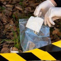 Como denunciar um crime ambiental de forma segura e anônima - freepik