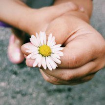 A flor mais preciosa do mundo: o amor - Freepik