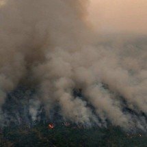 Quem põe fogo na Amazônia?