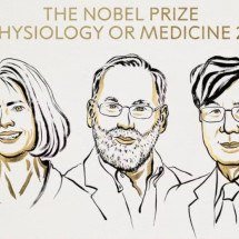 Os três foram laureados por suas 'descobertas sobre a tolerância imunológica periférica' -  (crédito: Nobel Prize/Reprodução)