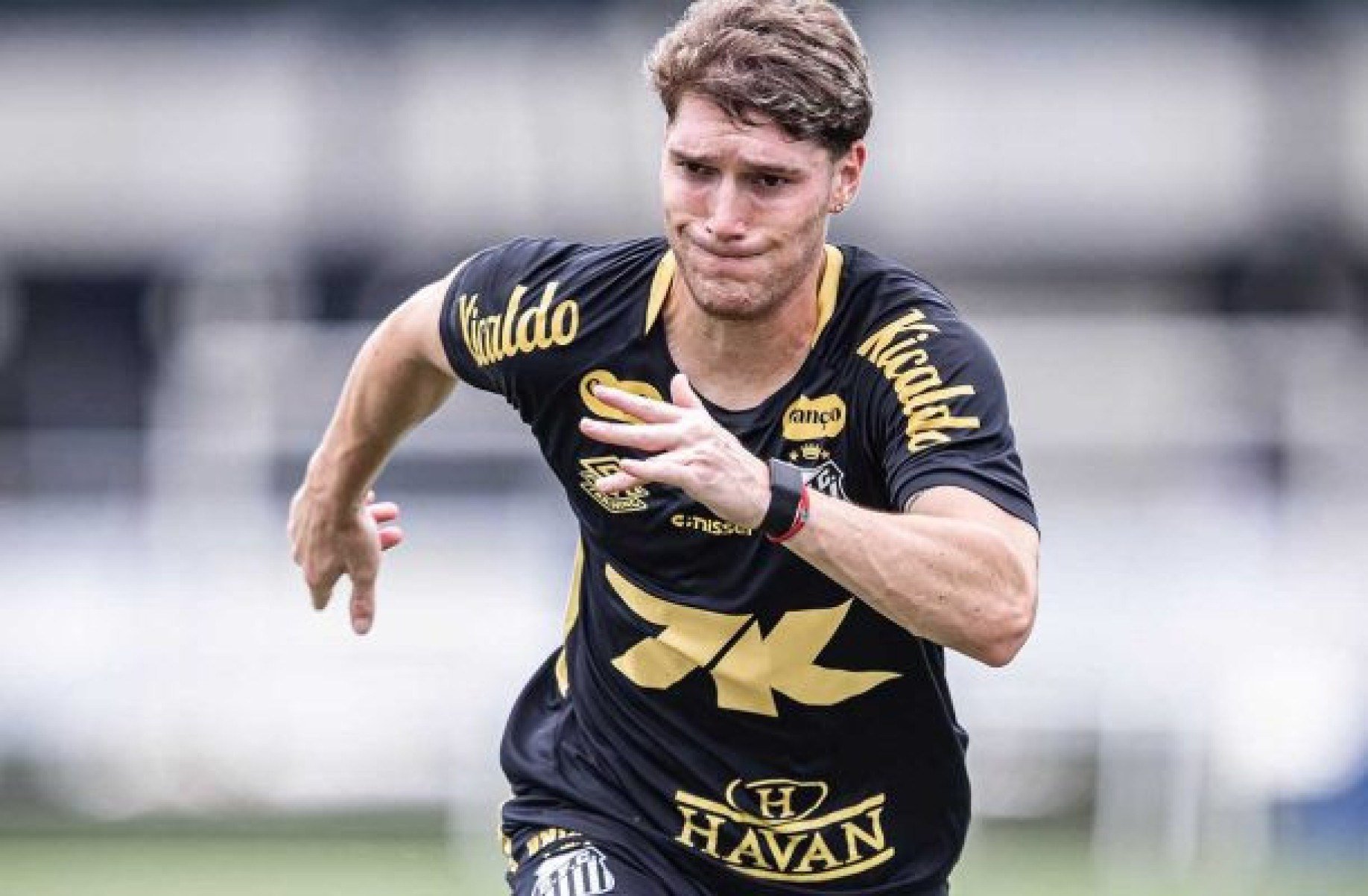 Rollheiser aposta em sequência dentro casa para recuperação do Santos no Brasileirão