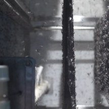 Biofábrica vai criar 190 milhões de mosquitos para combater a dengue; entenda - Divulgação