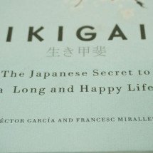 O que o Ikigai ensina à vida contemporânea; entenda a filosofia japonesa - Suraj Nath/Unsplash