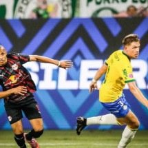 Atuações do Palmeiras contra o Bragantino: Vitor Roque rouba a cena na goleada -  Ari Ferreira/Red Bull Bragantino