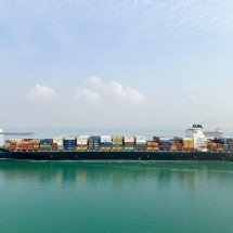 DTA Simplificada pode trazer eficiência a operações com certificação OEA - DINO