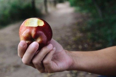 As frutas que fortalecem o coração e podem prolongar sua vida -  (crédito: Tupi)