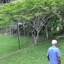 Crime aconteceu no fim da manhã do último dia 10, na zona rural de Teixeiras -  (crédito: Redes sociais/Reprodução)