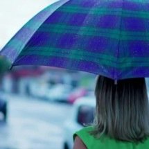 Apesar do alerta, há baixo risco de corte de energia elétrica, estragos em plantações, queda de galhos de árvores e alagamentos -  (crédito: depositphotos.com / zanuckcalilus)