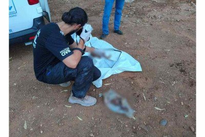 Dois crânios, fêmur e outros ossos humanos são encontrados no Rio Paranaíba -  (crédito: PCMG/Divulgação)