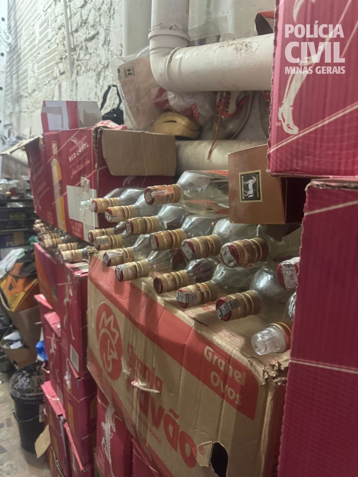 Durante a ação, os policiais apreenderam cerca de 15 mil garrafas vazias de marcas conhecidas, que eram usadas para envase clandestino de bebidas adulteradas-Reprodução/PCMG