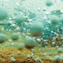 Rio mais quente do mundo fica no Brasil: animais que caem morrem na hora - Divulgação