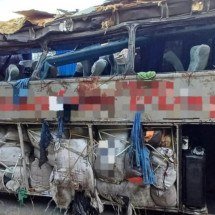 Mineiros estão entre os 17 mortos em acidente com ônibus no interior de PE - redes sociais/divulga&ccedil;ao