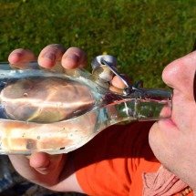 Beber muita água faz mal ou não? - PIXABAY/REPRODUÇÃO