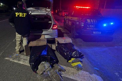 Maconha e skunk apreendidos chegariam a valer R$ 450 mil segundo estimativas. Droga vinha de SÃ£o Paulo para Ponte Nova (MG) -  (crédito: PRF/DivulgaÃ§Ã£o)