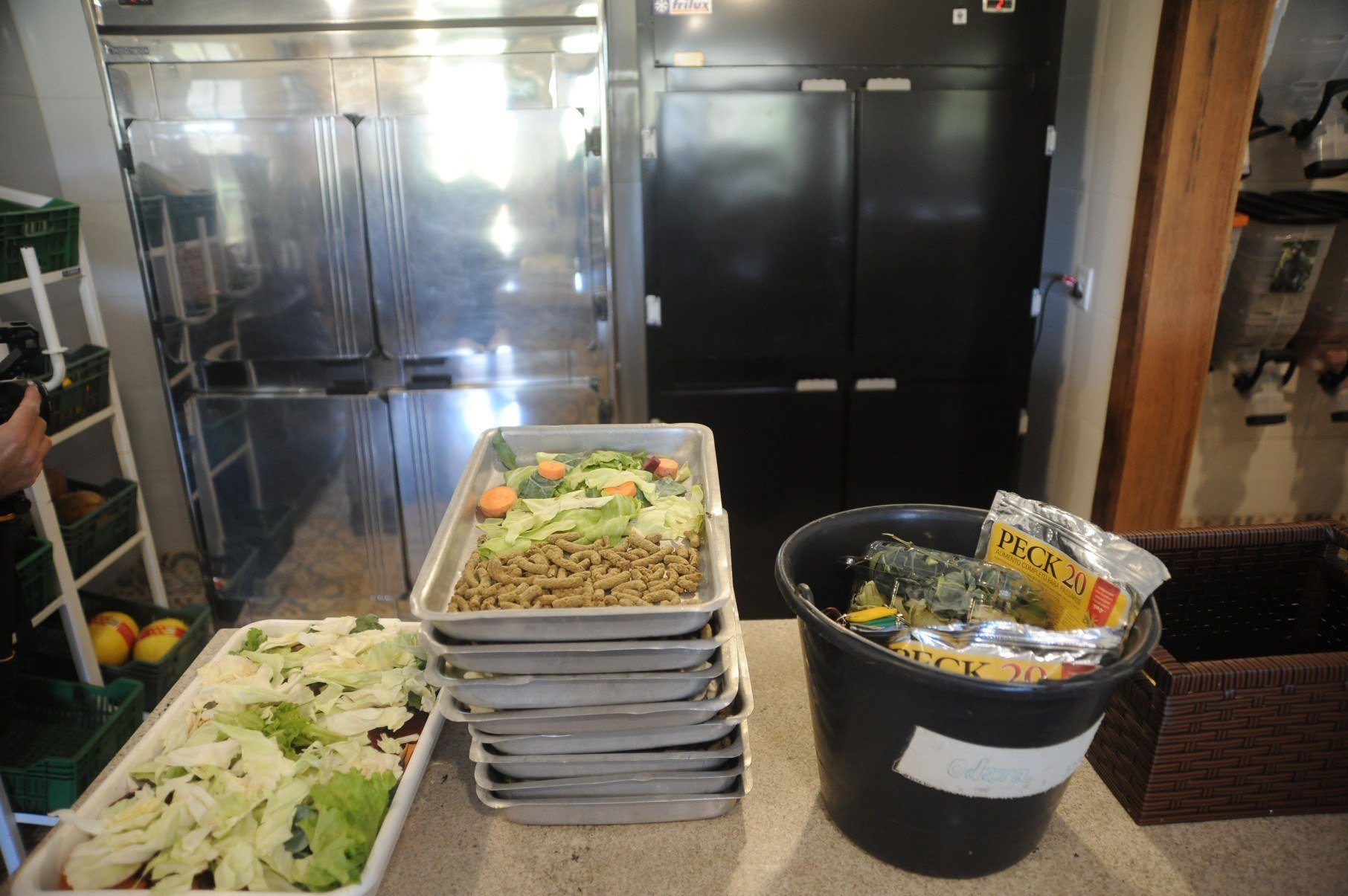 A alimentação dos animais consome 80 quilos de verduras, legumes e carnes por semana, fora a ração e suplementos      -Alexandre Guzanshe/EM/D.A Press