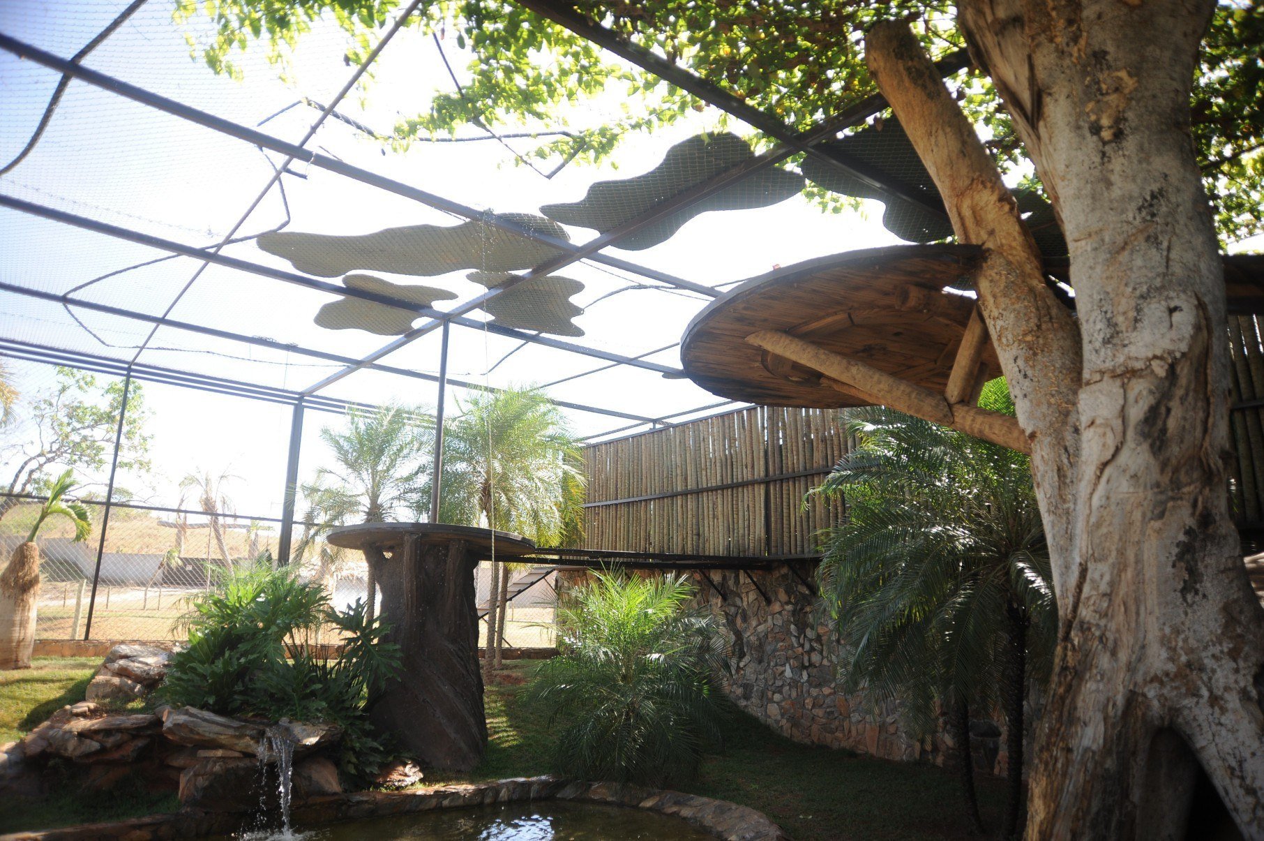 No Santuário, cada animal recebe um recinto projetado e cuidado especial      -Alexandre Guzanshe/EM/D.A Press