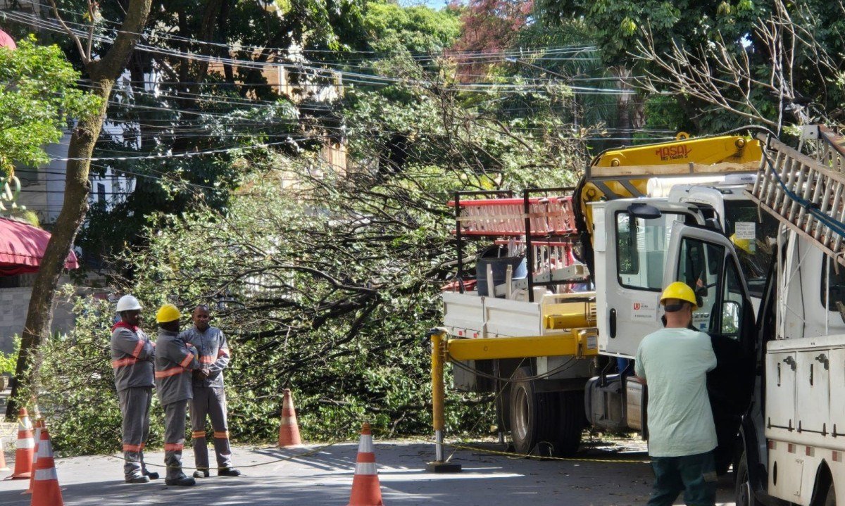 Bombeiros e Cemig atuam no local da queda da árvore na Savassi