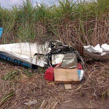 Avião que transportava cocaína cai em canavial em Alagoas; piloto morre - PMAL/DivulgaÃ§Ã£o
