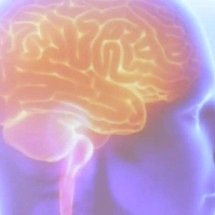 AVC silencioso é 10 vezes mais comum do que os sintomáticos e pode causar demência progressiva - Tânia Rêgo/Agência Brasil