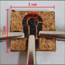Dispositivo detecta aditivo em vinho, suco de laranja e água mineral - Beatriz Germinare et al./Microchimica Acta