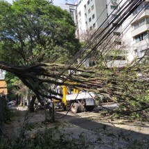 Ventos de mais de 80 km/h derrubam árvores e deixam moradores de BH sem luz - Jair Amaral/EM/DA Press
