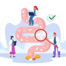 Por que a microbiota é tão importante para o funcionamento do intestino - Vetor/Freepik