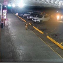 Carro desgovernado "voa" na BR-262 e deixa três pessoas em estado grave - Redes Sociais/Reprodução