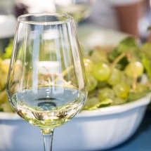 Nem tudo é moscatel: região de Setúbal investe em outras uvas portuguesas - Paulo Rocha/Divulgação