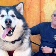 Histórias com cachorros gigantes viralizam na internet. Um deles tem até pato de estimação! - Reprodução/Redes Sociais