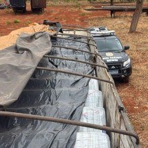 MG: polícia recupera carga de arame avaliada em R$ 306 mil - PCMG