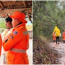 Indígena de 80 anos desaparece em mata; buscas entram no 4º dia - Corpo de Bombeiros/Divulgação