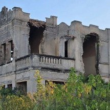 Corpos insurgentes e Brasil em chamas: sobre Aranha Movediça, de Moacir Fio