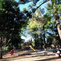 Gari é agredido com golpes de madeira na cabeça em parque de BH - Gladyston Rodrigues/EM/DA. Press