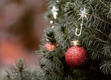 Pinheiros naturais, de todos os tamanhos, além de levar o Natal para dentro de casa, perfumam o ambiente
 -  (crédito: PIXABAY/REPRODUÇÃO)