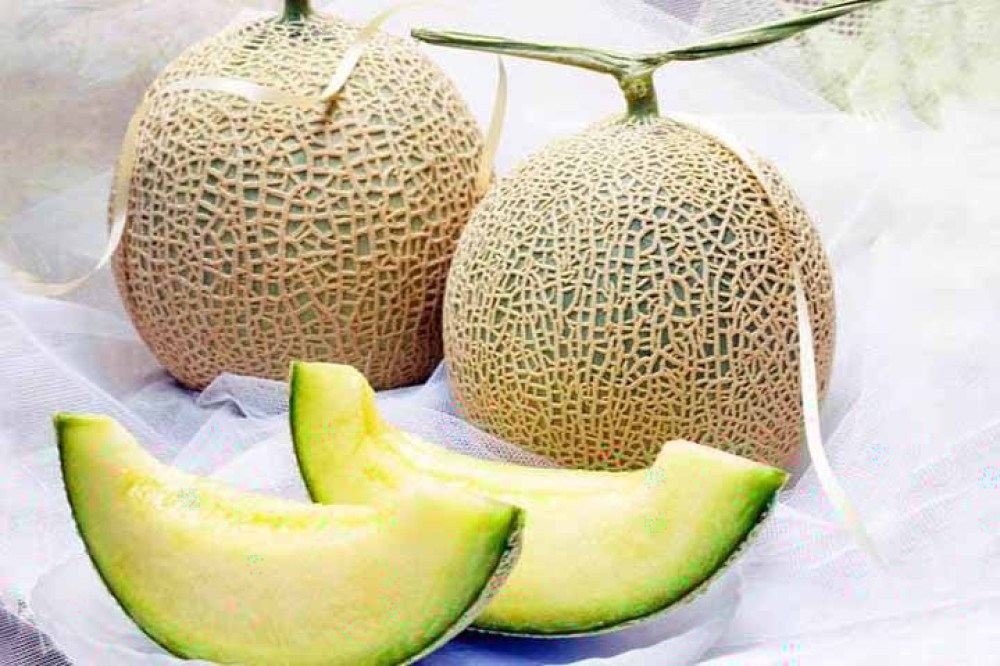 Os olhos da cara: Descubra por que as frutas são tão caras no Japão -  Reprodução Facebook Consulado Geral do Japão no Rio de Janeiro