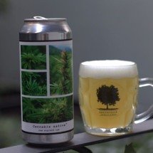 Cerveja de Cannabis? Estabelecimento de BH produz rótulos com aroma da erva - Rodrigo Valente/Divulgação