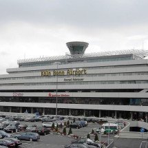 Pra quem não viu: 1.500 tarântulas são apreendidas em caixa de bolo no aeroporto - Qualle wikimedia commons 