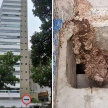 Cupins invadem edifício e construtora é condenada a indenizar moradores - Divulgação moradores