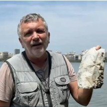 Biólogo encontra saco plástico de 1995 com vida marinha na Lagoa Rodrigo de Freitas - Reprodução de vídeo TV Globo