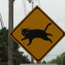 Placas de trânsito fofas viralizam na web - Reprodução / redes sociais