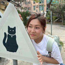 Atenção: gatos podem pular de repente! Placas fofas no Japão viralizam - Reprodução / redes sociais