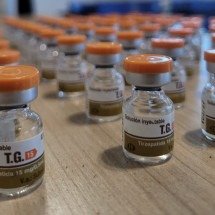 Cerca de R$ 200 mil em Mounjaro irregular são apreendidos em Minas  - Reprodução/PMRv