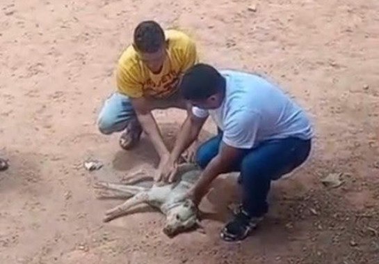 Reprodução/Redes Sociais