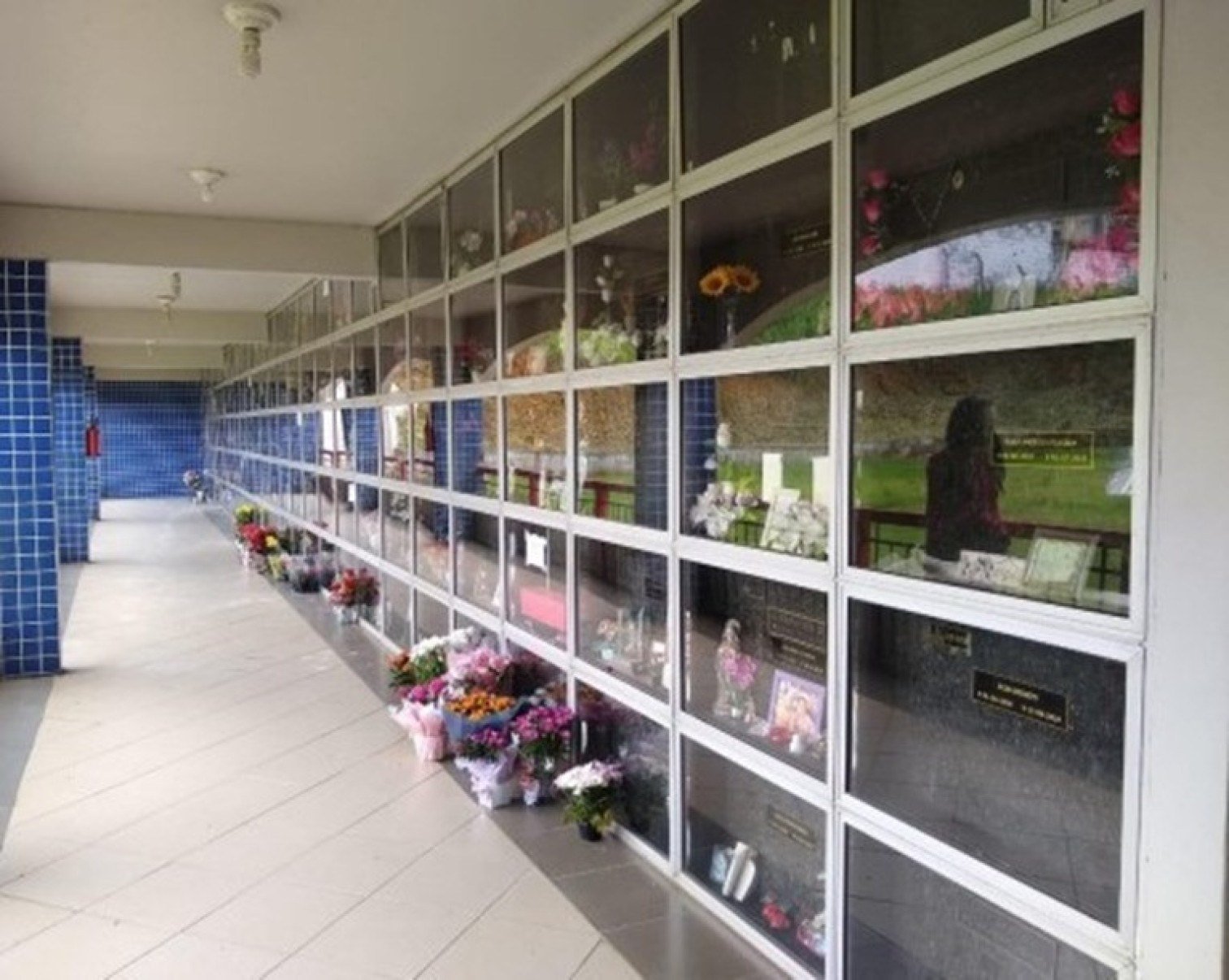 Setor funerário inova, cresce e tem foco sustentável - DINO